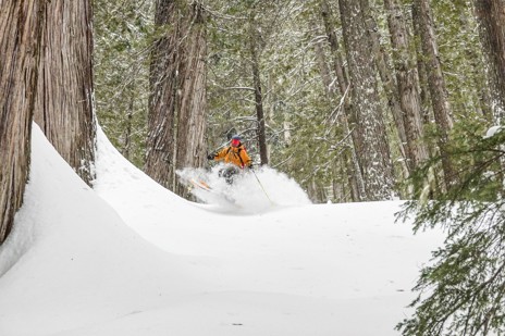 All-Day Powder Turns