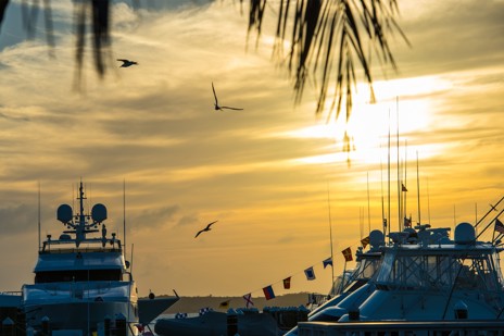 Take our cruisers into town and eat at the locals’ favorite lobster spot