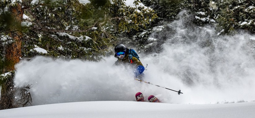 A skier cutting through a forest in Colorado.