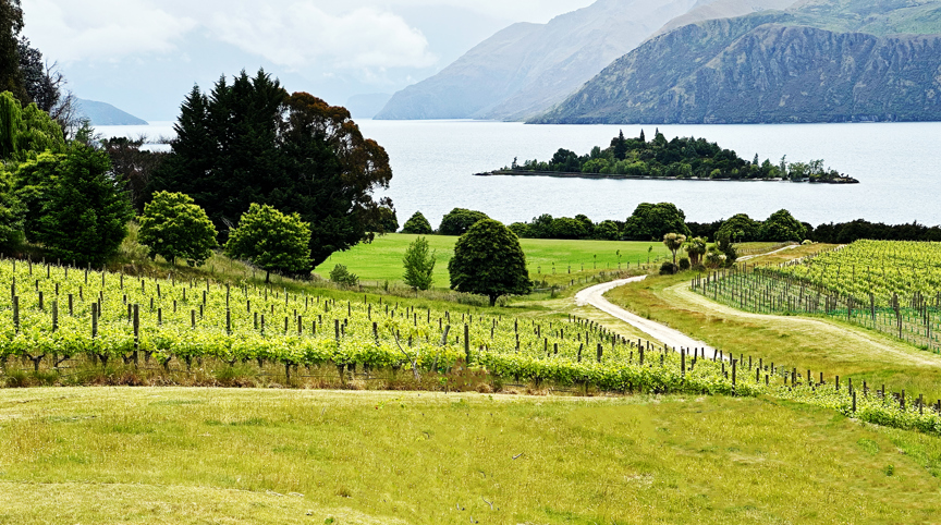 Wintery tour at Cedar Lodge.