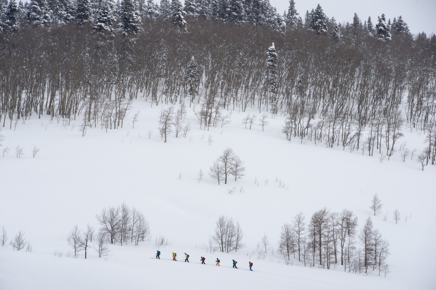An aerial view of a group of skiers on a tour across the Rocky Mountains.