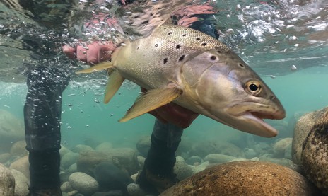 Leave from our property put-in and cast to suspended fish on Rio Yelcho 