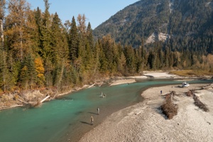 Fly fishing in Revelstoke, BC.