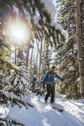 Man ski touring through trees.