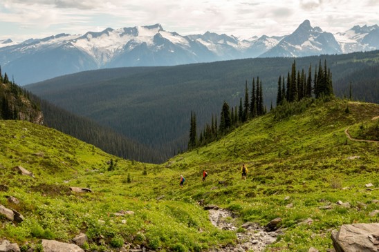 A group hiking through a grassy valley wedged between snow capped mountains.