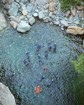 A group of climbers floating on their backs in a small mountain pond.