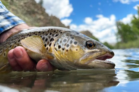 Day 4: Optional Full-Day Float Fishing