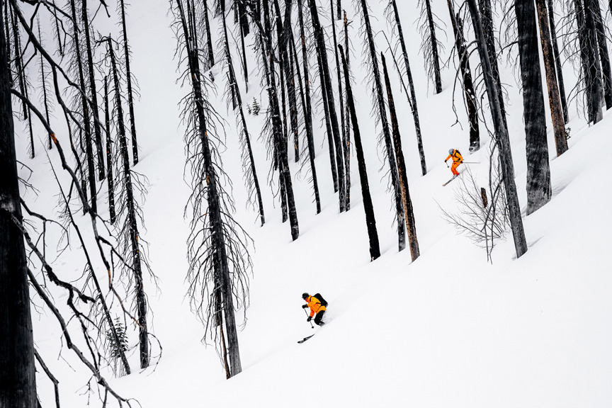 Skiing through trees in Revelsoke, BC