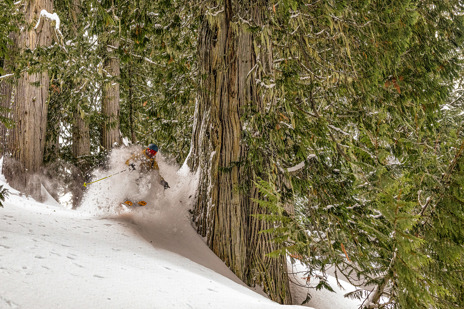 All-Day Powder Turns