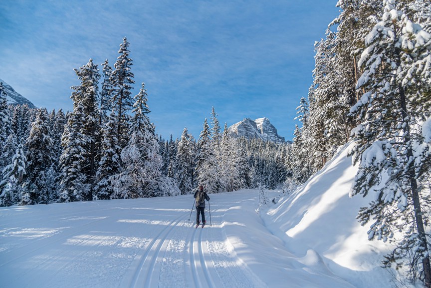 Cross-country skiing in British Columbia.