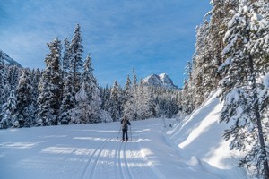 Cross-country skiing in British Columbia.