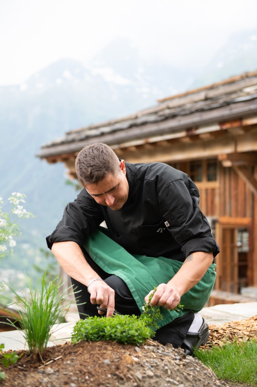 A chef picking local herbs outside of a house in the valley.