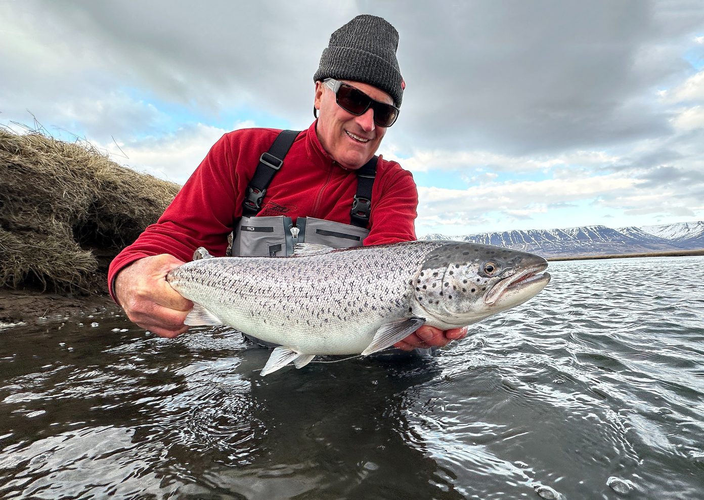 An angler holds a sea run trout in Iceland.