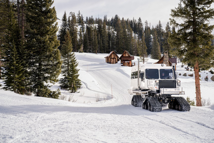 Eleven snow cat in Colorado