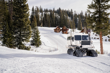 Eleven snow cat in Colorado
