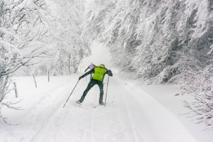 Nordic Skiing in France.